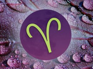 April 2019 Love TarotScopes for All Zodiac Signs!